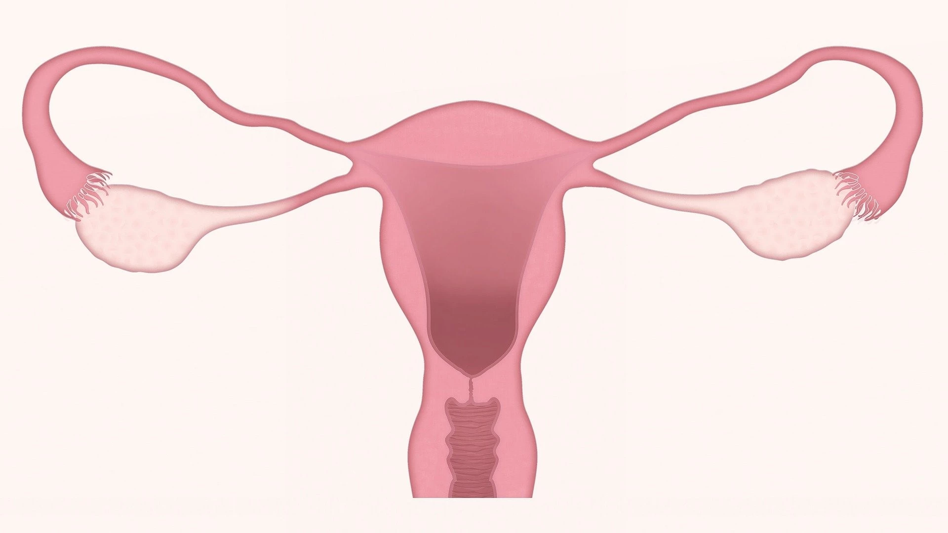 Paula Trigo Ramos | Dieta, endometriose e fertilidade