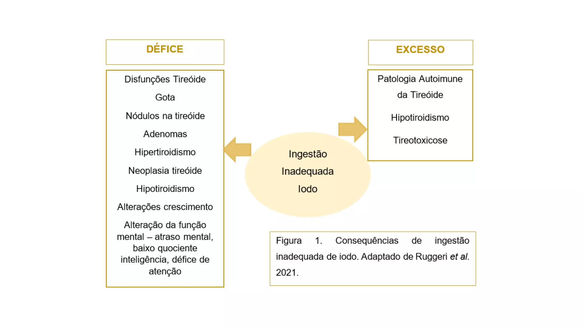 Paula Trigo Ramos | Iodo e Alterações na Tireóide